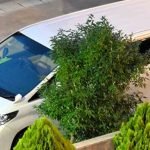 Ιαπωνία: Συνελήφθη Κινέζα για παράνομη μεταφορά ομοεθνών της χωρίς άδεια