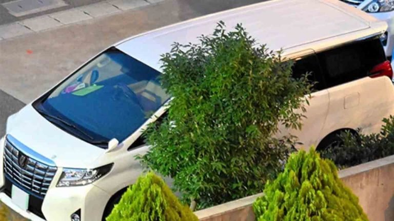 Ιαπωνία: Συνελήφθη Κινέζα για παράνομη μεταφορά ομοεθνών της χωρίς άδεια